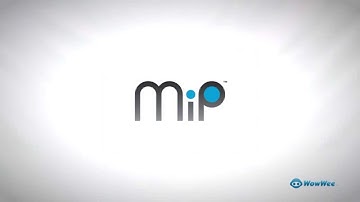 MiP Tutorial 04- Cage