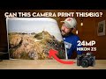 Is 24MP and a KIT lens GOOD ENOUGH? Nikon Z5 vs Z7 Surprising result!!