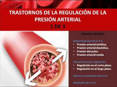 Fisiopatología de la presión arterial 1 de 3 - YouTube Fisiopatología de la presión arterial 1 de 3 - YouTube