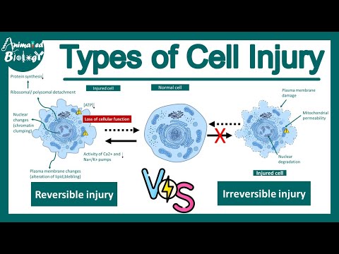 Reversible vs irreversible