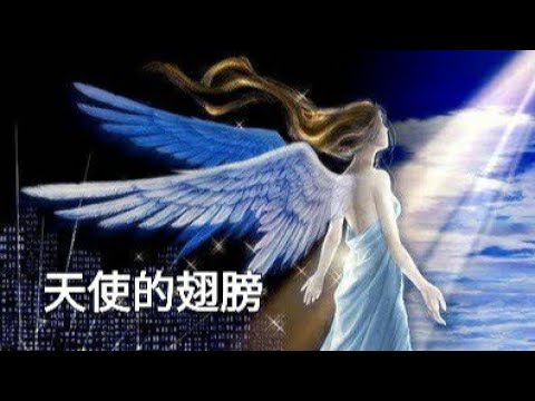 安琥 - 天使的翅膀『我會找個天使替我去愛你』【動態歌詞Lyrics】