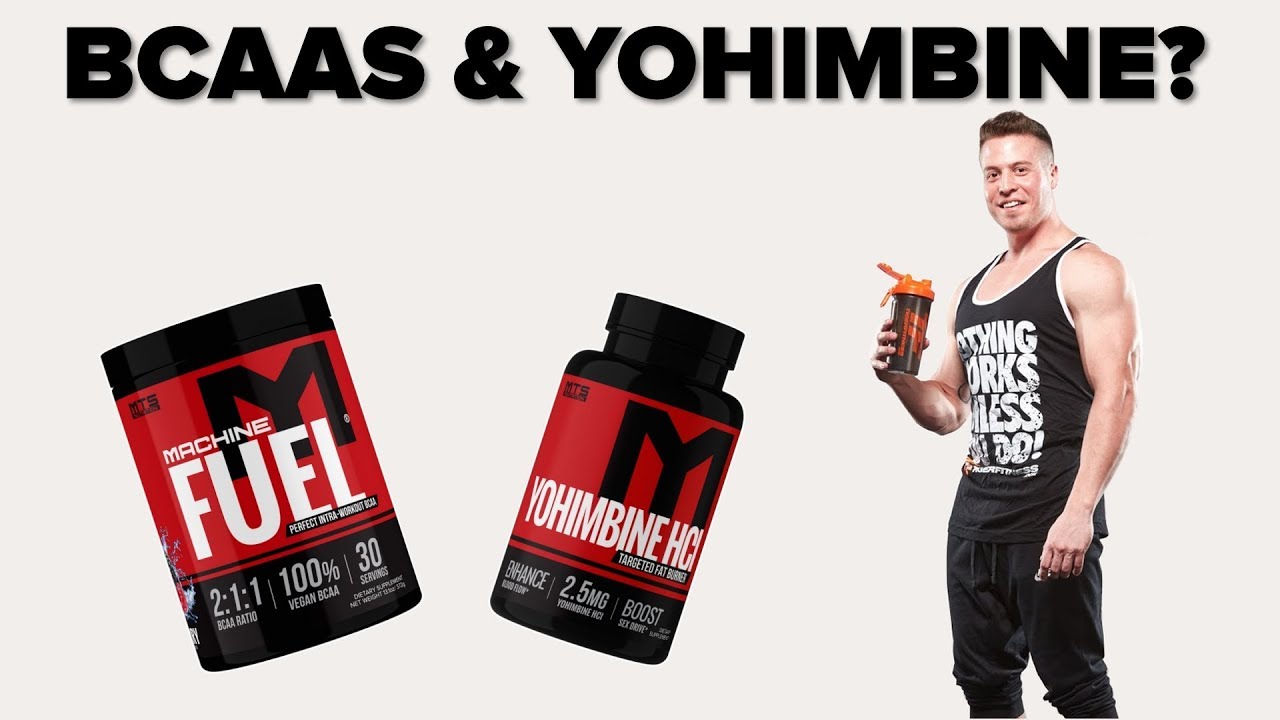Do BCAAs Make Yohimbine Ineffective? Tiger Fitness YouTube