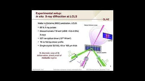 GSCCM Virtual Seminar by Dr. Belinda Pecheco and Dr. Silvia Pandolfi - Part 2