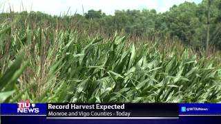 WTIU Newsbreak, August 12, 2014