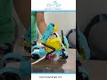 Robotic Education