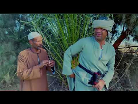 الحاج الضوى بعد غلاء البيض