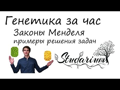 Генетика за час! Законы Менделя, решение генетических задач. Подготовка к ЕГЭ по биологии. Часть 1