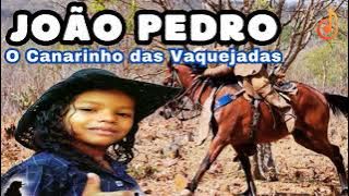 João Pedro O Canarinho das Vaquejadas #2k