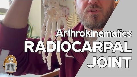Radiocarpal Joint Arthrokinematics & Osteokinematics