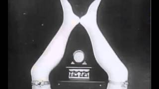 Daylight By Sunny Levine