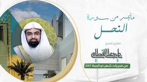 الشيخ ناصر القطامي يتغنى بالآيات ويأسر الألباب بهذا الترتيل البديع