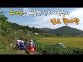 [다큐3일] 송가인을 배출한 진도 사람들의 민요 한 자락 by KBS
