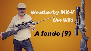 A FONDO (9)- Weatherby MK-V Live Wild