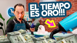 ¿Quieres GANAR DINERO con la PELUQUERÍA CANINA?  Pues utiliza un SECADOR PROFESIONAL