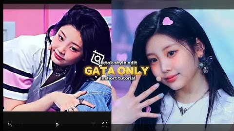 GATA ONLY EDIT TUTORIAL - INSHOT 