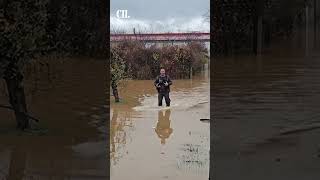 Куќата Му Се Поплавила, Но Беско Се Вратил Да Ги Спаси Кучињата