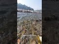 #water