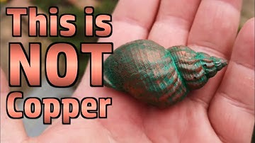 Seashell Casting Part 3: Resin Time!