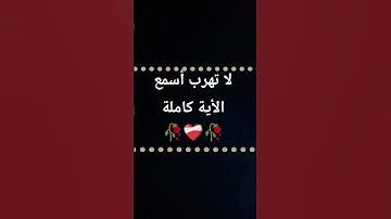 #islamsobhi #surahalmuminun #surah_al_kahf #suratyasin #سورة_يس