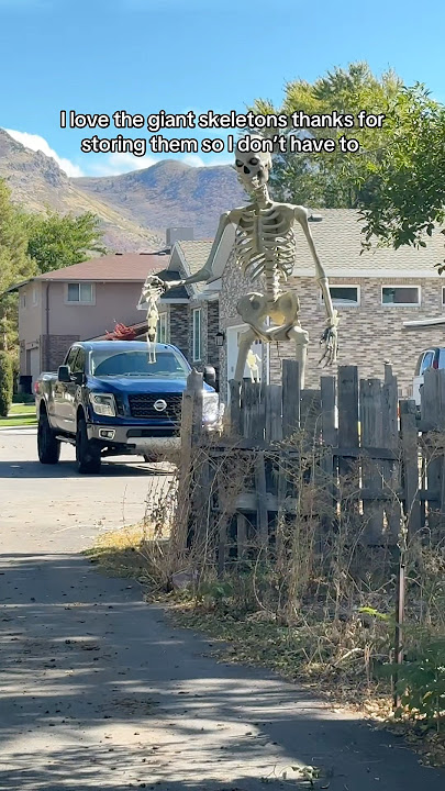 Mr. Bones meet Mister Bones