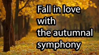 Fall - Leaves falling, golden trees and relaxing piano music screenshot 4