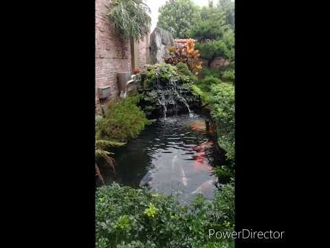 糧園茶藝客家小館