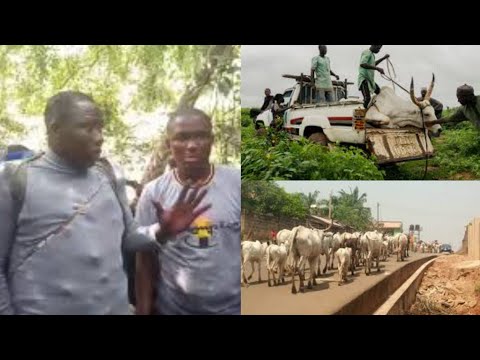Fulani Herdsmen In Big Wahala As Sunday Igboho Ready ITo nvade S/West Forest Starting From This date