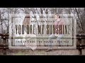 Reaction Video: You are my Sunshine (The Hound + The Fox) | Ariel Yining Loh