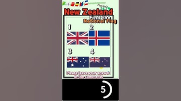 Find the flag#1 #quiz #flagquiz #puzzle #Dementia prevention #Improve memory