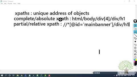 Using Xpaths with Selenium Python | Selenium with Python Tutorial