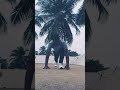 Surya namaskar do this exercise every day