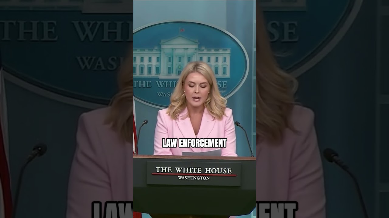 How Trump is cracking down on illegals