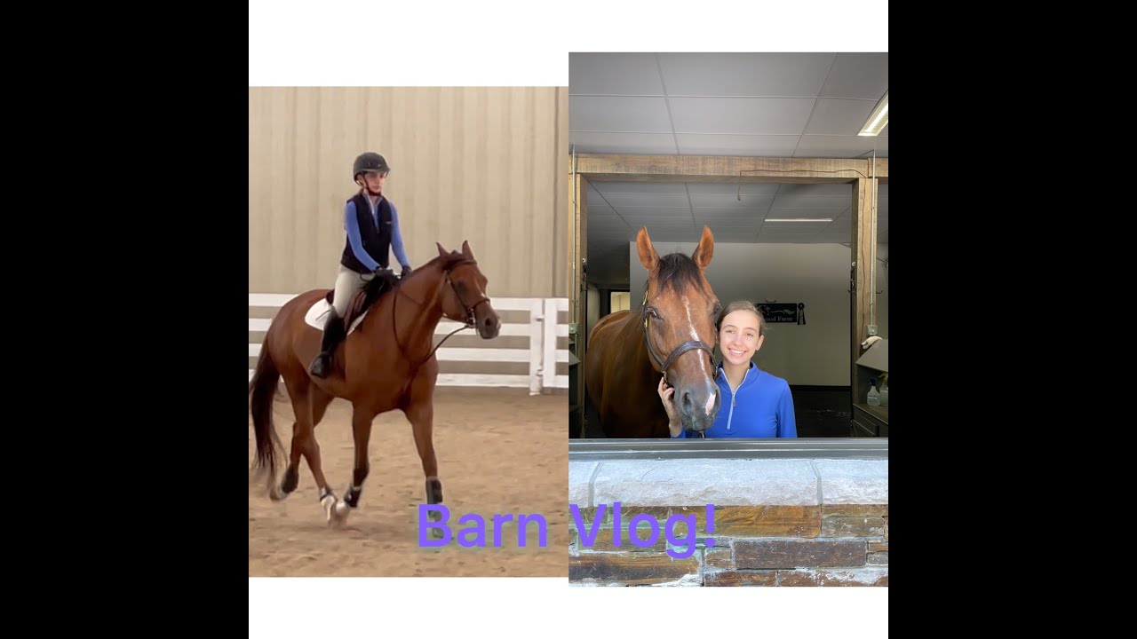 Cantering My Horse for the First Time in 2 Months! YouTube