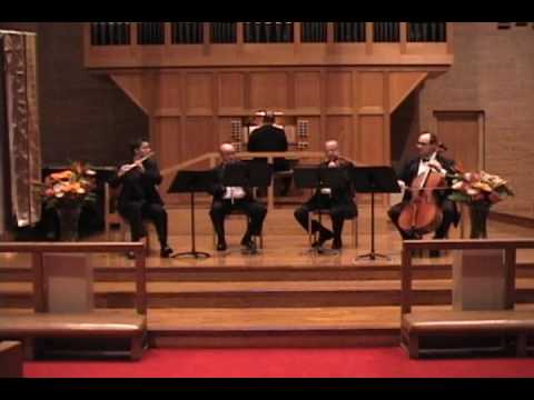 Brandenburg Concerto No. 2. Andante.wmv