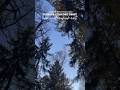 По-малко шум. Повече яснота #минимализъм, #осъзнатживот, #поМалкоЕПовече, #опростяване