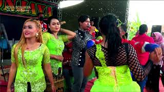 Download Lagu KADANG KADANG KANGEN - ORGAN NOVA SONJAYA 25 November 2021 NEXT 14 MP3