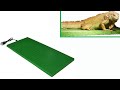 Calefacción Placasverdes para reptiles - Un solución idónea para terrarios