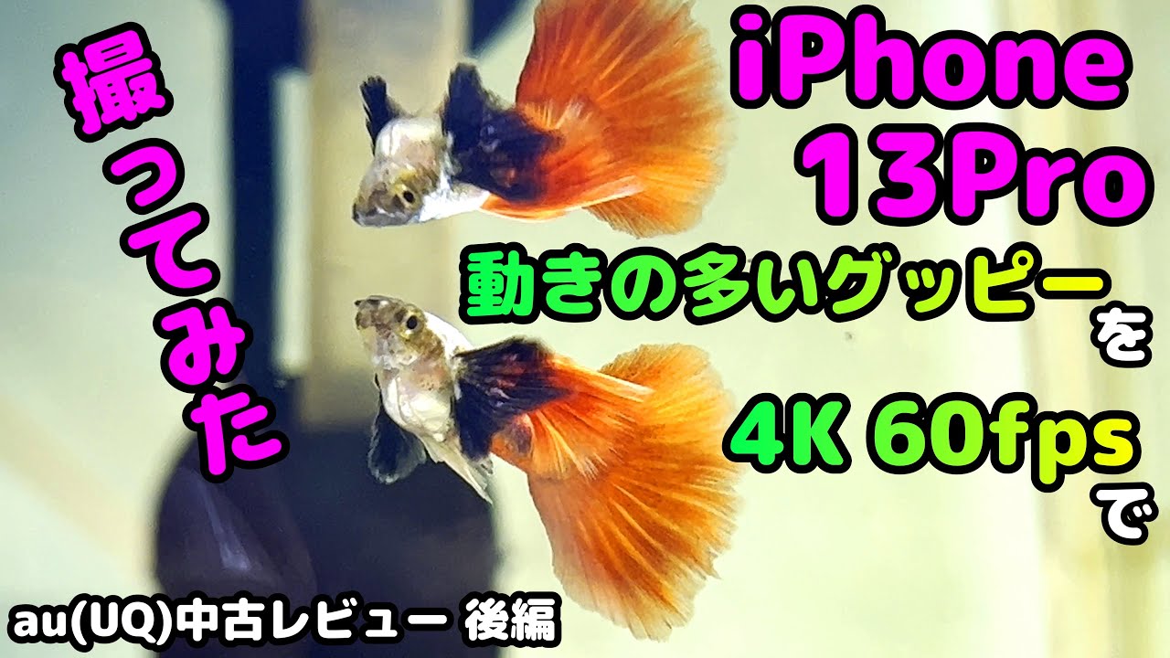 iPhone 13 Pro】au Certified iPhone（認定中古品）を買ってみた結果 