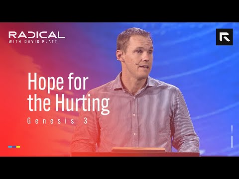 Advent: Hope for the Hurting
