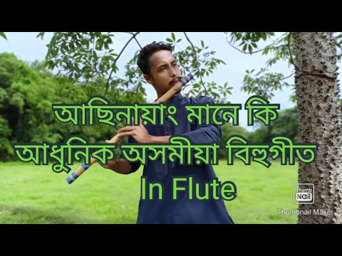 Ashinayang Mane Ki Oo Moromi  Flute Cover  Zubeen Garg  Bihu song