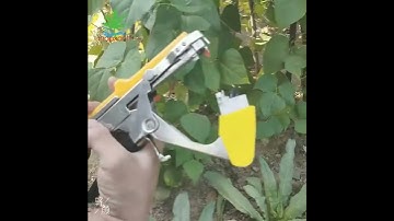 Máy buộc dây cà chua, nho, dưa leo, Dụng cụ buộc dây leo (Tape tool)