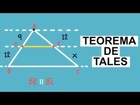 Teorema de Tales | Ejercicio 1