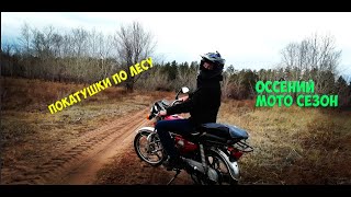 ОССЕНИЙ МОТО СЕЗОН: покатушки по лесу #2