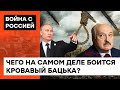 У марионетки оторвались ниточки? Почему Лукашенко перестал поддерживать Путина