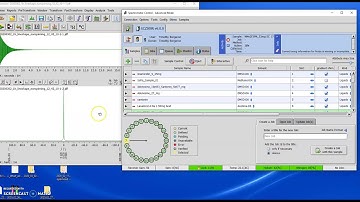 Loading shims from data files (Delta v5 onwards)