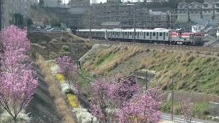 【甲種輸送】 DE10-1666+東急田園都市線2020系 10両 洋光台～新杉田通過