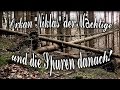 Orkan - Sturm Niklas der Mächtige...und die Spuren danach!