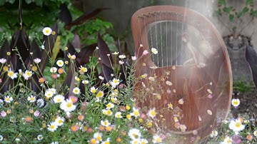 Zelda’s Lullaby lyre harp cover with tabs