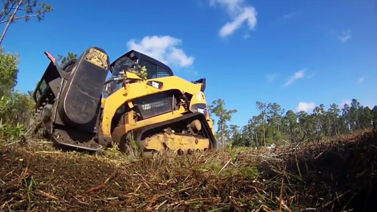  Amazing 1 Hour Of Amazing Tree Cutting Machine Automatic Tree Cutter