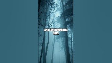 The Enigma of Free Will: Are Our Choices Truly Ours?